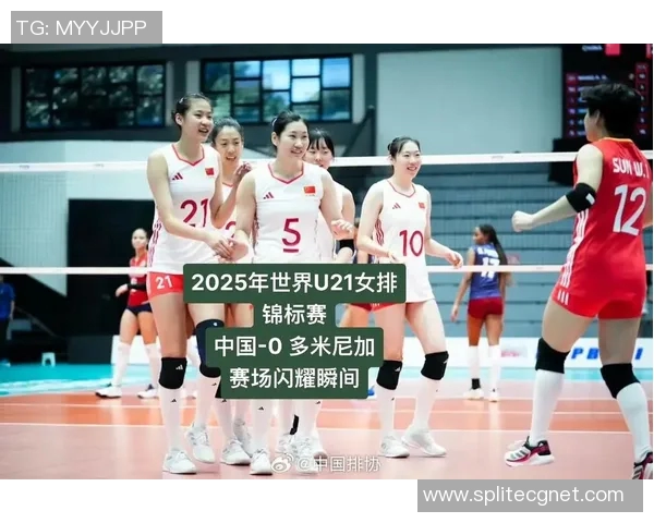北京排球队在世界锦标赛中的个人能力分析与表现评估