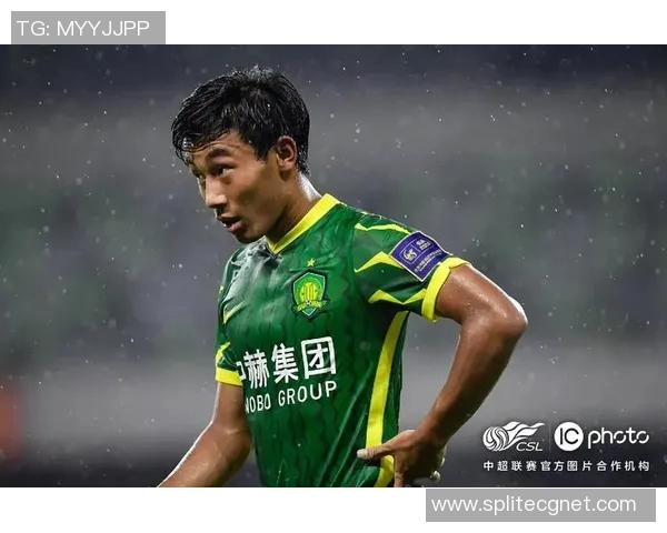 北京足球明星的传奇之路与狗狗的深厚情谊
